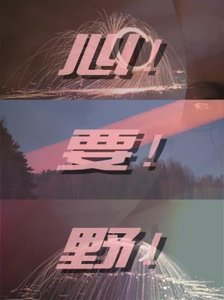 心要野