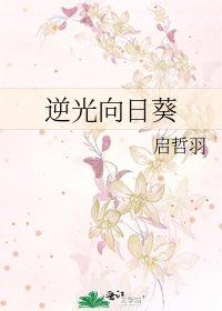 逆光向日葵