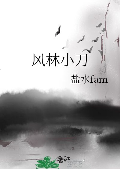 风林小刀